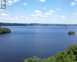 Cottage for Sale on Lake Vernon