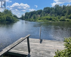 Cottage for Sale on Burnt River