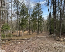 Property for Sale on 0 North Drive, Eagle Lake