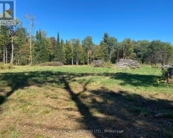 Property for Sale on 1248 BEIERS ROAD, Gravenhurst (Morrison)