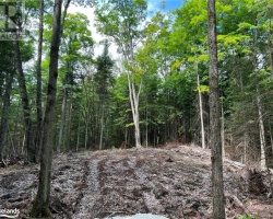 Property for Sale on Lot 26 West Court, Haliburton