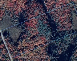 Property for Sale on 0 BOBCAYGEON ROAD, Minden Hills (Lutterworth)