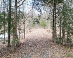 Property for Sale on 1231 BIG HAWK LAKE ROAD, Algonquin Highlands (Stanhope)