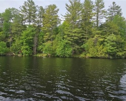 Cottage for Sale on Fairy Lake