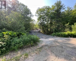 Cottage for Sale on Jevins Lake
