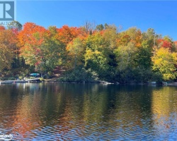 Cottage for Sale on Fox Lake