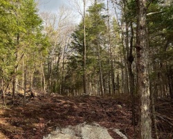 Property for Sale on LOT 27 BUSHWOLF LAKE ROAD, Dysart et al (Guilford)