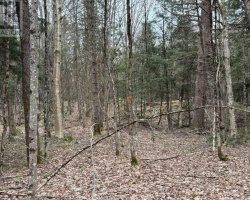 Property for Sale on LOT 1 LOCH ERNE ROAD, McDougall