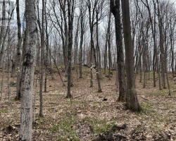 Property for Sale on 0 TALLY HO WINTER PARK ROAD, Lake of Bays (Sinclair)