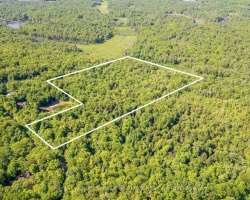 Property for Sale on 1061 SOUTH MULDREW LAKE ROAD, Gravenhurst (Morrison)