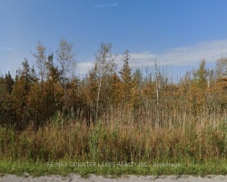 Property for Sale on Lot 14 Killarney Bay Road, Kawartha Lakes (Lindsay)