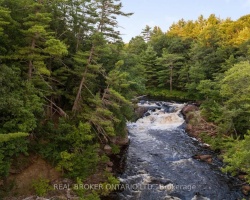 Cottage for Sale on Black River