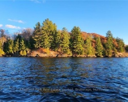 Cottage for Sale on Lake Vernon