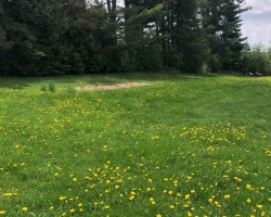 Cottage for Sale on Dalrymple Lake