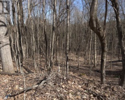 Property for Sale on 0 SOUTH MUSKOKA DRIVE, Bracebridge (Macaulay)
