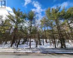 Property for Sale on 00 MANITOBA STREET, Bracebridge (Macaulay)