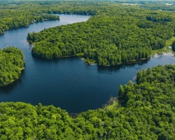 Cottage for Sale on Camel Lake