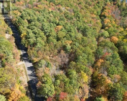 Property for Sale on PT LT 7 CON 3 BUCKSLIDE ROAD, 