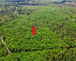 Property for Sale on 0 Healey Lake Road, Bracebridge