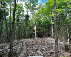 Property for Sale on LOT 26 WEST COURT, Dysart et al (Guilford)