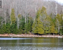 Cottage for Sale on Drag Lake