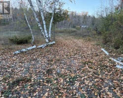 Property for Sale on PT LT 20 FIRE ROUTE 121, 