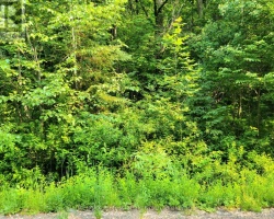 Property for Sale on 19 - 26 MOUNT VERNON TRAIL, Huntsville (Chaffey)