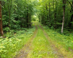 Cottage for Sale on Trout Lake