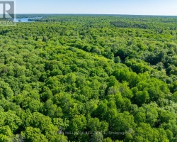 Property for Sale on 187B Star Lake Road, Seguin