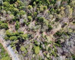 Property for Sale on 0 LOCHLIN ROAD, Minden Hills (Minden)
