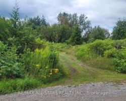 Property for Sale on Lot 0 Fulton Drive, Kawartha Lakes