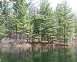 Cottage for Sale on Clear Lake