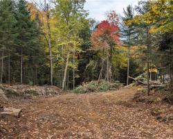 Property for Sale on LOT 2 LIMBERLOST Road, Lake Of Bays