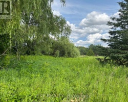 Property for Sale on 1125 WOOD ROAD, Tay
