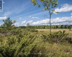 Property for Sale on Lot 250 Mcguire Beach Road, Kawartha Lakes