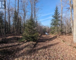 Cottage for Sale on Redstone River