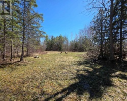 Property for Sale on 57 BASS BAY DRIVE, Tay