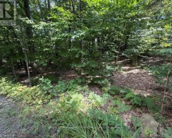 Cottage for Sale on Lake Vernon