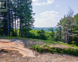 Property for Sale on 19 OLD HEMLOCK TRAIL, 