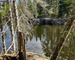 Property for Sale on 0 COUNTY ROAD 503, 