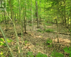 Property for Sale on 22 - 32 MOUNT VERNON TRAIL, Huntsville (Chaffey)