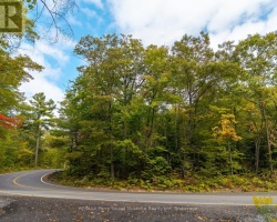 Property for Sale on LOT 15 OAKRIDGE ROAD N, 