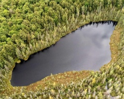 Cottage for Sale on Meadow Lake