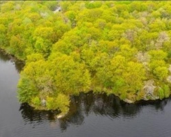 Cottage for Sale on The Narrows Lake